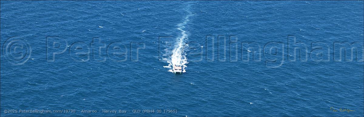 Peter Bellingham Photography Amaroo - Hervey Bay - QLD (PBH4 00 17965)